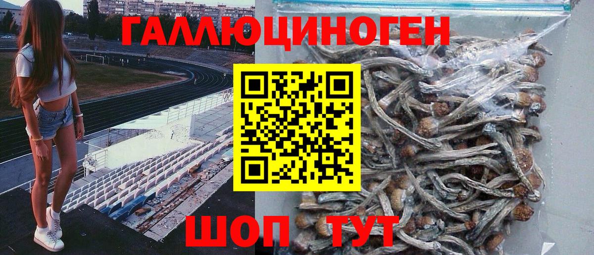 Баксан  купить  сайты  Вход с VPN  Псилоцибиновые грибы MAGIC MUSHROOMS 